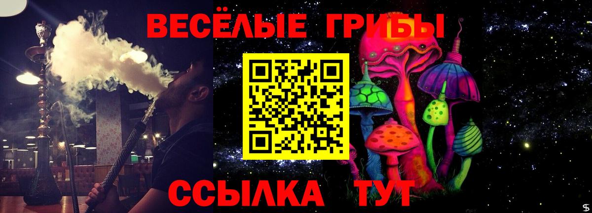 Галлюциногенные грибы мицелий  Вход с VPN  Асино  Псилоцибиновые грибы Cubensis 