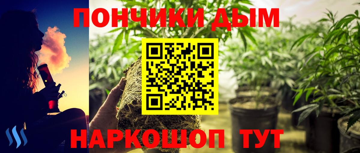 Бошки Шишки SATIVA & INDICA  Вход с VPN  Канабис AK-47  Шишки марихуана конопля  Шишки марихуана VHQ  Асино 